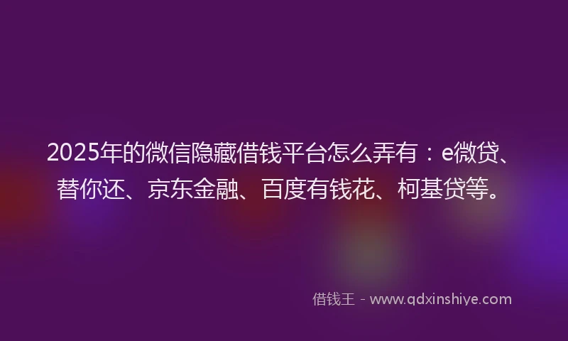 2025年的微信隐藏借钱平台怎么弄有：e微贷、替你还、京东金融、百度有钱花、柯基贷等。
