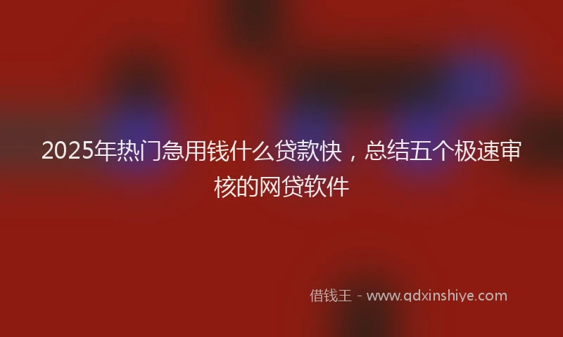 2025年热门急用钱什么贷款快，总结五个极速审核的网贷软件