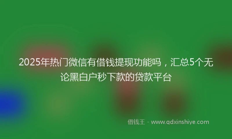 2025年热门微信有借钱提现功能吗，汇总5个无论黑白户秒下款的贷款平台