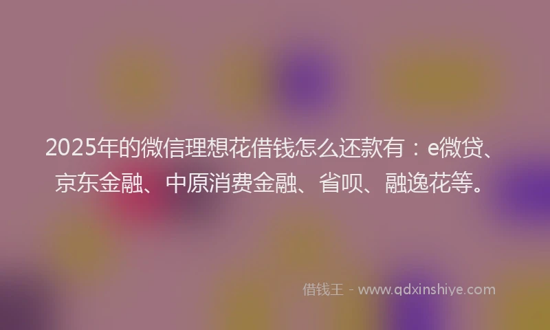 2025年的微信理想花借钱怎么还款有：e微贷、京东金融、中原消费金融、省呗、融逸花等。