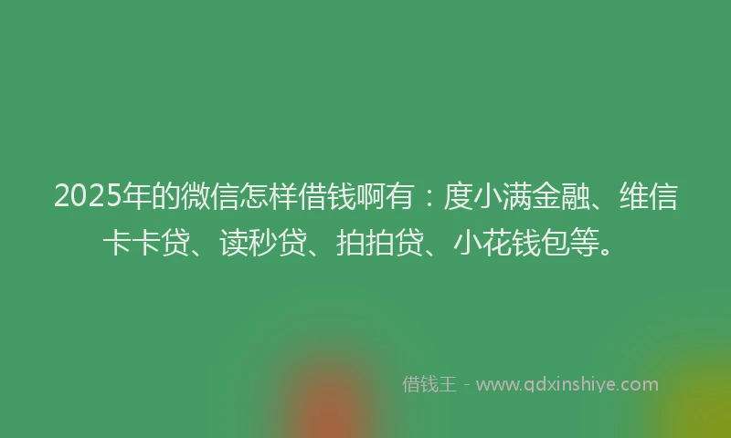 2025年的微信怎样借钱啊有：度小满金融、维信卡卡贷、读秒贷、拍拍贷、小花钱包等。