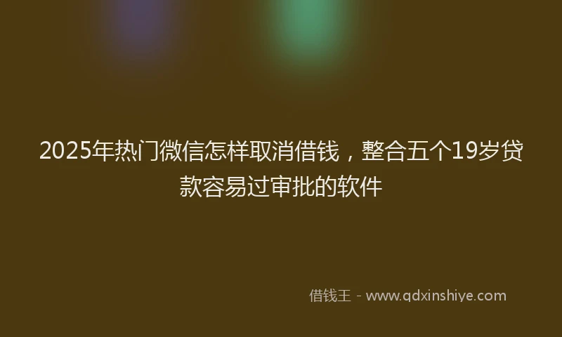 2025年热门微信怎样取消借钱，整合五个19岁贷款容易过审批的软件