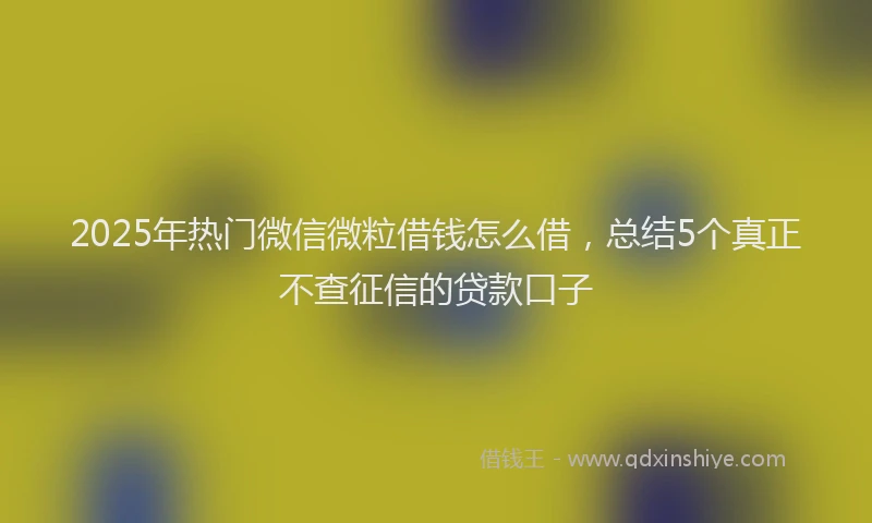 2025年热门微信微粒借钱怎么借，总结5个真正不查征信的贷款口子