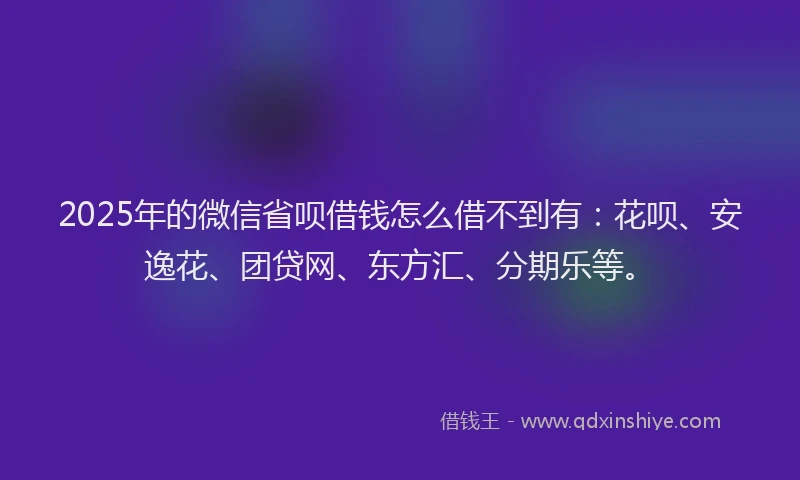 2025年的微信省呗借钱怎么借不到有：花呗、安逸花、团贷网、东方汇、分期乐等。