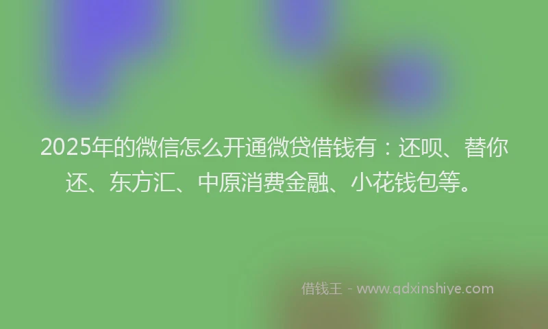 2025年的微信怎么开通微贷借钱有：还呗、替你还、东方汇、中原消费金融、小花钱包等。