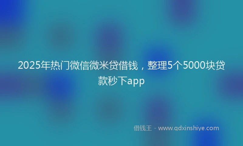 2025年热门微信微米贷借钱，整理5个5000块贷款秒下app