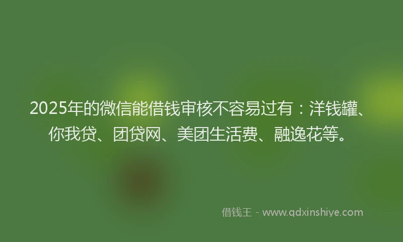 2025年的微信能借钱审核不容易过有：洋钱罐、你我贷、团贷网、美团生活费、融逸花等。