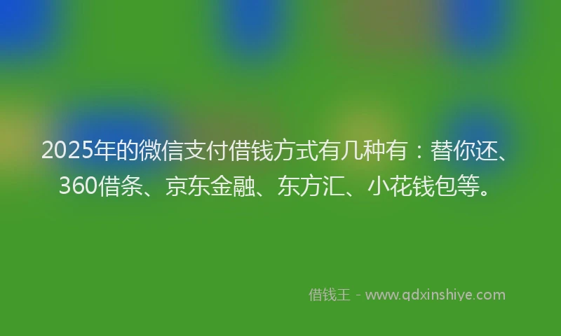 2025年的微信支付借钱方式有几种有：替你还、360借条、京东金融、东方汇、小花钱包等。