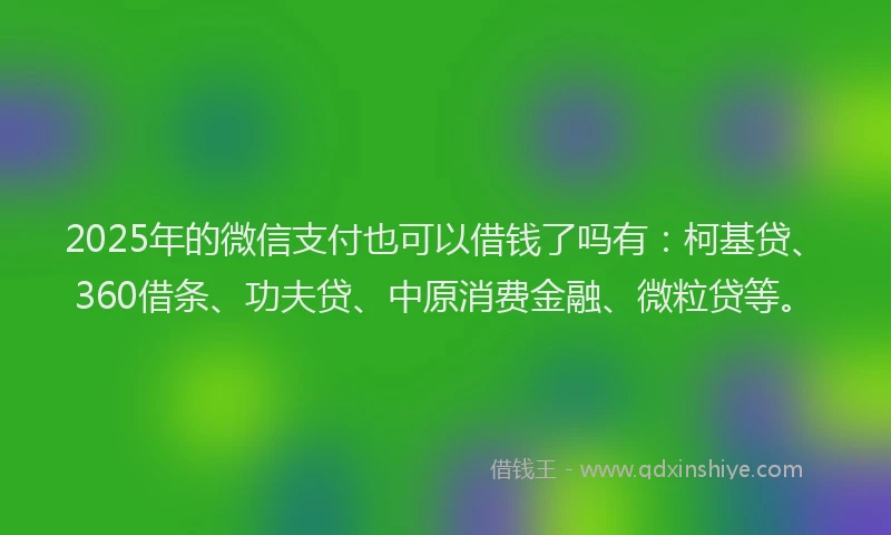 2025年的微信支付也可以借钱了吗有:柯基贷、360借条、功夫贷、中原消费金融、微粒贷等。