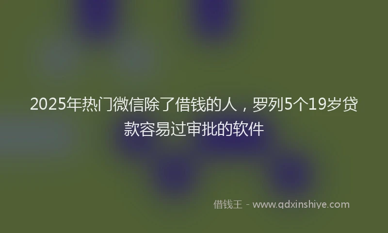 2025年热门微信除了借钱的人，罗列5个19岁贷款容易过审批的软件