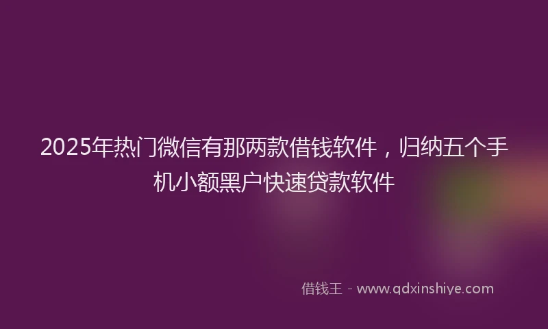 2025年热门微信有那两款借钱软件，归纳五个手机小额黑户快速贷款软件