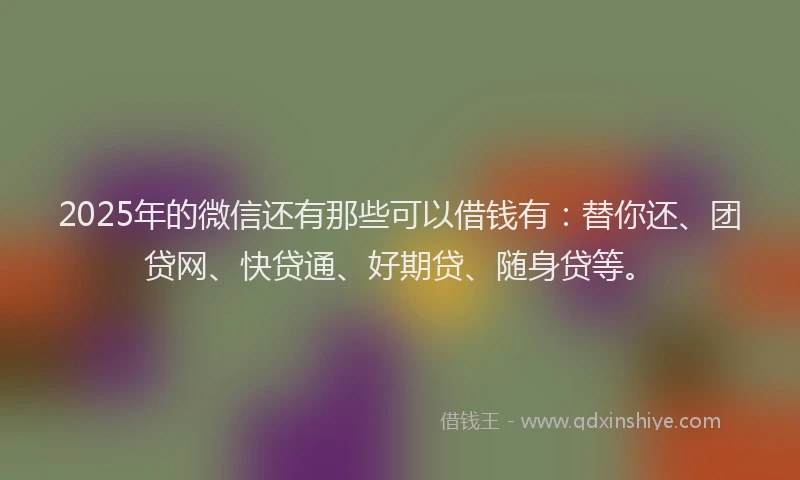 2025年的微信还有那些可以借钱有：替你还、团贷网、快贷通、好期贷、随身贷等。