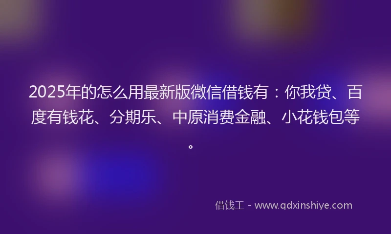 2025年的怎么用最新版微信借钱有：你我贷、百度有钱花、分期乐、中原消费金融、小花钱包等。