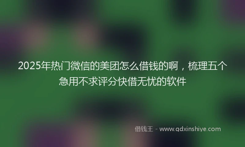 2025年热门微信的美团怎么借钱的啊，梳理五个急用不求评分快借无忧的软件