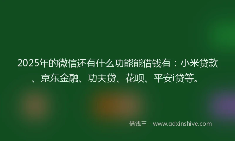 2025年的微信还有什么功能能借钱有：小米贷款、京东金融、功夫贷、花呗、平安i贷等。