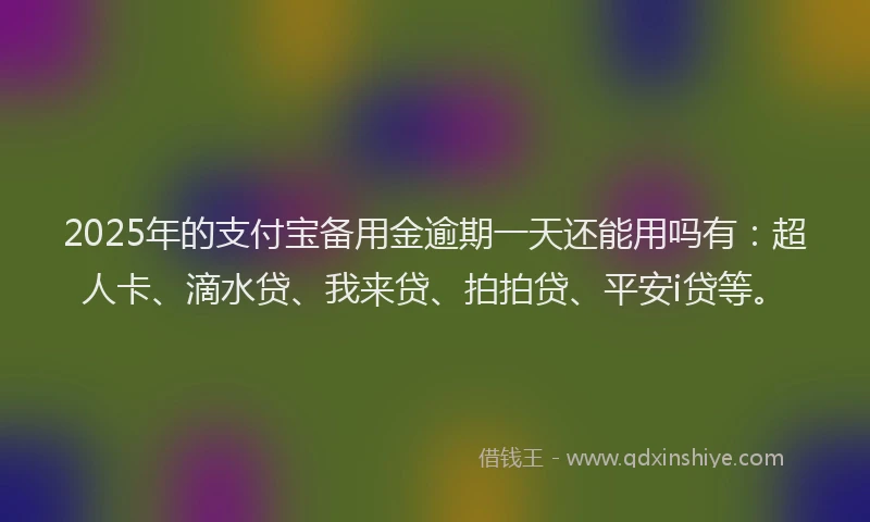 2025年的支付宝备用金逾期一天还能用吗有：超人卡、滴水贷、我来贷、拍拍贷、平安i贷等。