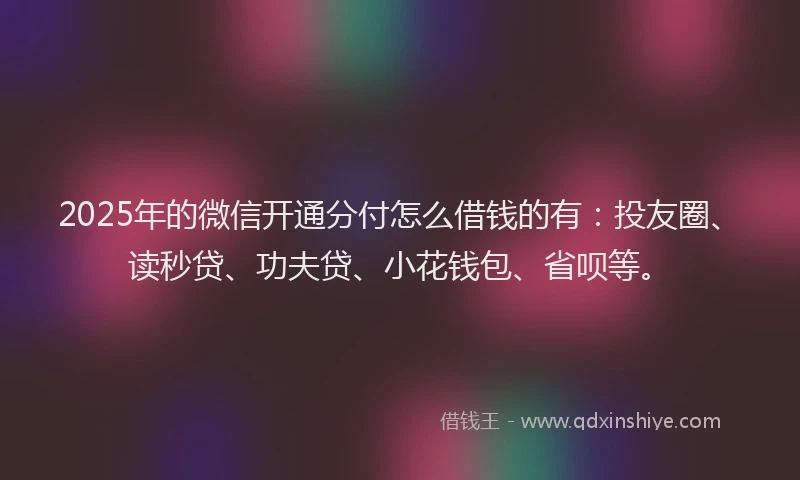 2025年的微信开通分付怎么借钱的有：投友圈、读秒贷、功夫贷、小花钱包、省呗等。