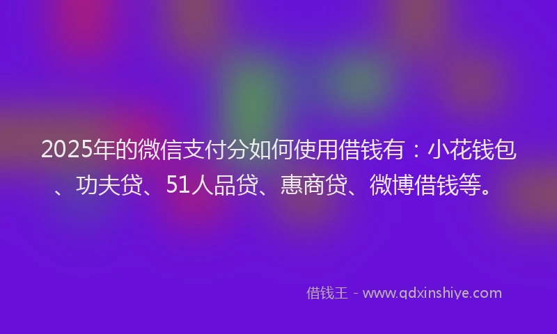 2025年的微信支付分如何使用借钱有：小花钱包、功夫贷、51人品贷、惠商贷、微博借钱等。