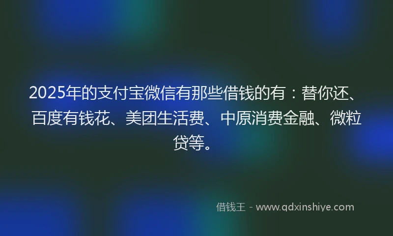 2025年的支付宝微信有那些借钱的有：替你还、百度有钱花、美团生活费、中原消费金融、微粒贷等。