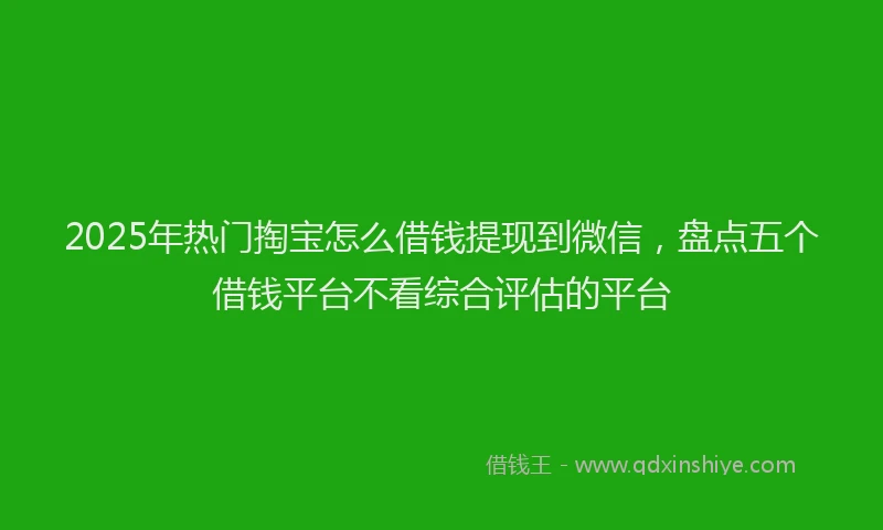 2025年热门掏宝怎么借钱提现到微信，盘点五个借钱平台不看综合评估的平台