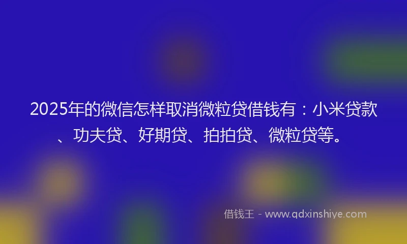 2025年的微信怎样取消微粒贷借钱有：小米贷款、功夫贷、好期贷、拍拍贷、微粒贷等。