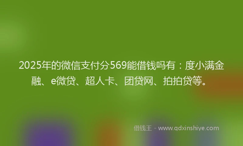 2025年的微信支付分569能借钱吗有：度小满金融、e微贷、超人卡、团贷网、拍拍贷等。
