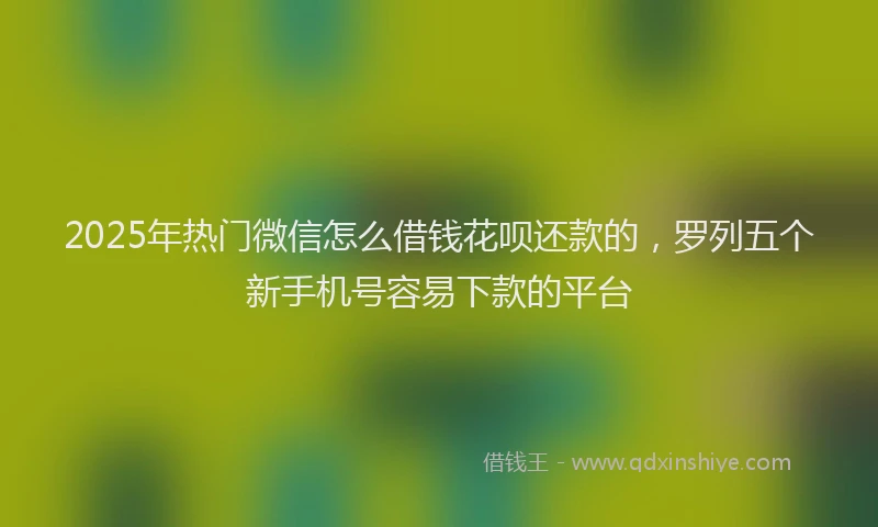 2025年热门微信怎么借钱花呗还款的，罗列五个新手机号容易下款的平台