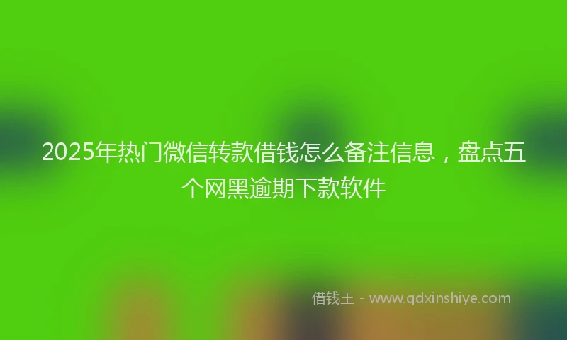 2025年热门微信转款借钱怎么备注信息，盘点五个网黑逾期下款软件