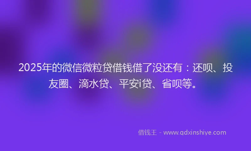 2025年的微信微粒贷借钱借了没还有：还呗、投友圈、滴水贷、平安i贷、省呗等。