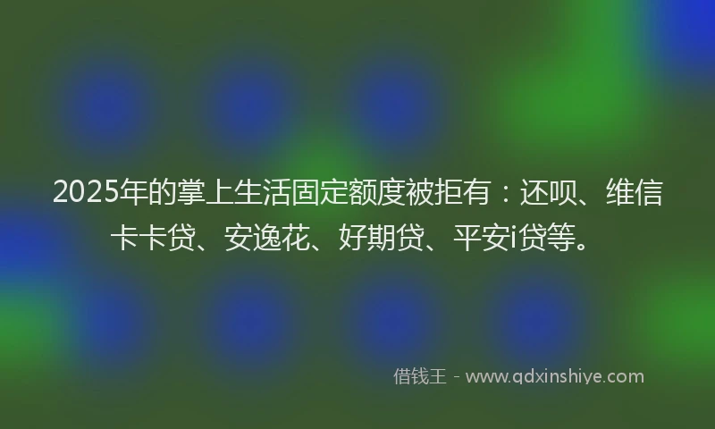 2025年的掌上生活固定额度被拒有：还呗、维信卡卡贷、安逸花、好期贷、平安i贷等。