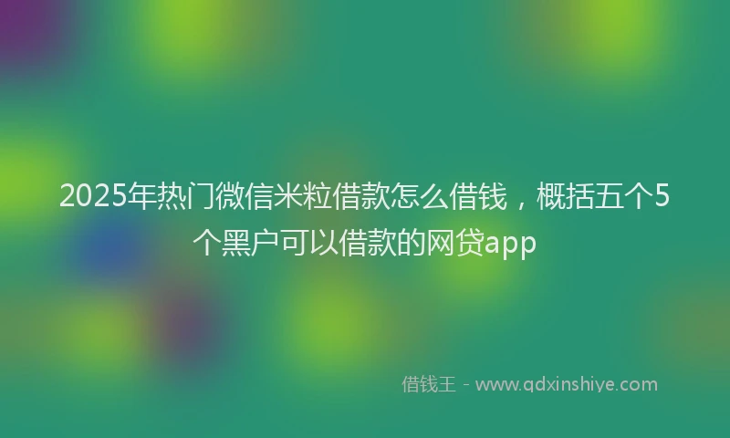 2025年热门微信米粒借款怎么借钱，概括五个5个黑户可以借款的网贷app