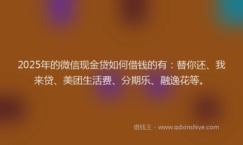 2025年的微信现金贷如何借钱的有：替你还、我来贷、美团生活费、分期乐、融逸花等。
