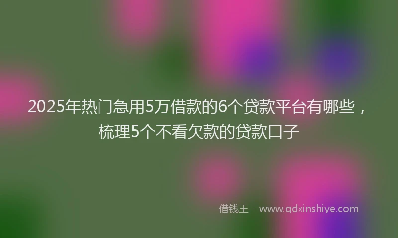 2025年热门急用5万借款的6个贷款平台有哪些，梳理5个不看欠款的贷款口子