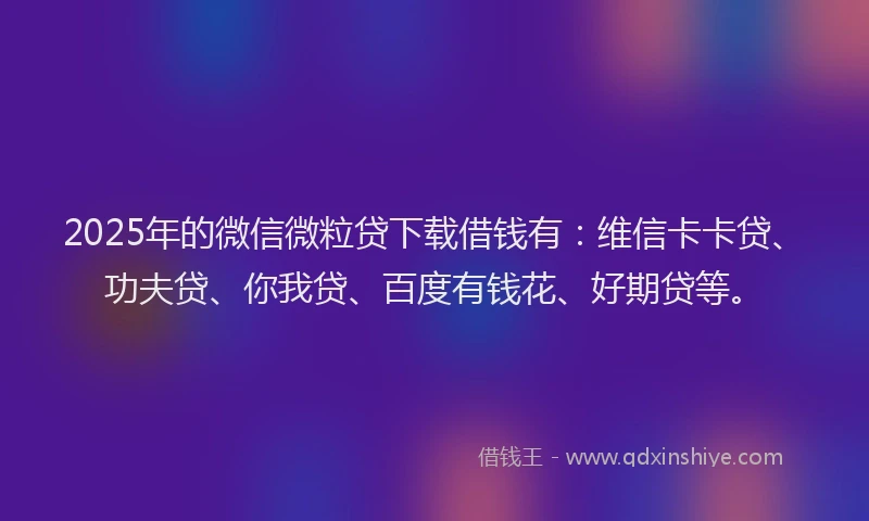 2025年的微信微粒贷下载借钱有：维信卡卡贷、功夫贷、你我贷、百度有钱花、好期贷等。
