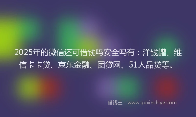 2025年的微信还可借钱吗安全吗有：洋钱罐、维信卡卡贷、京东金融、团贷网、51人品贷等。