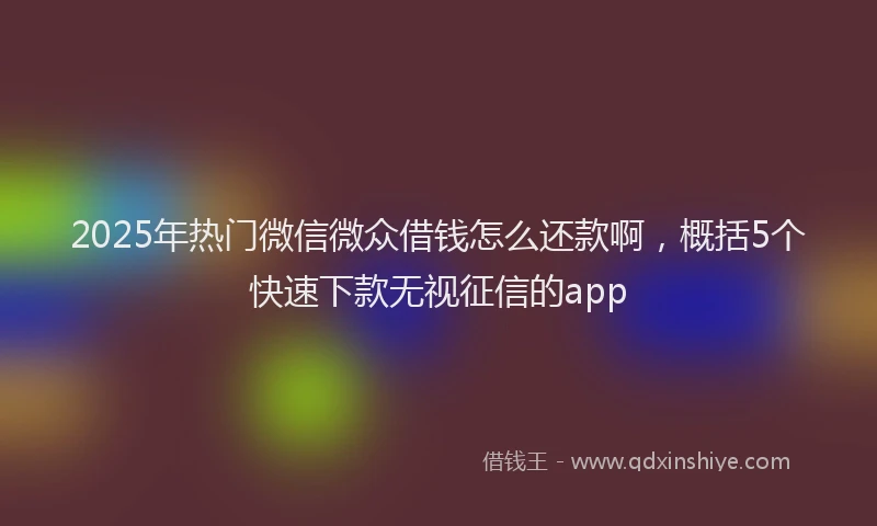 2025年热门微信微众借钱怎么还款啊，概括5个快速下款无视征信的app