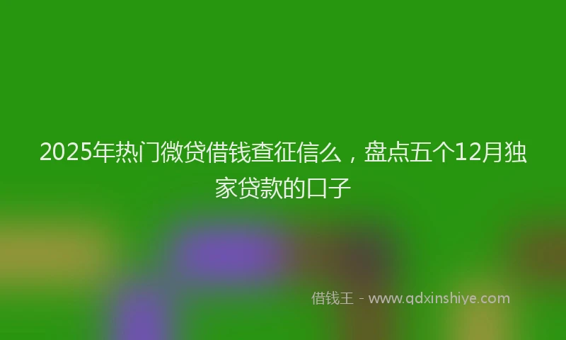 2025年热门微贷借钱查征信么，盘点五个12月独家贷款的口子