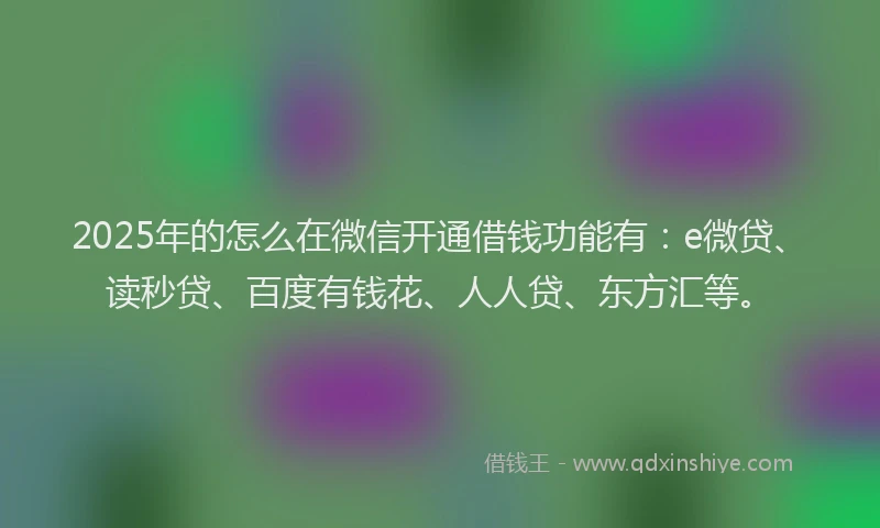 2025年的怎么在微信开通借钱功能有：e微贷、读秒贷、百度有钱花、人人贷、东方汇等。
