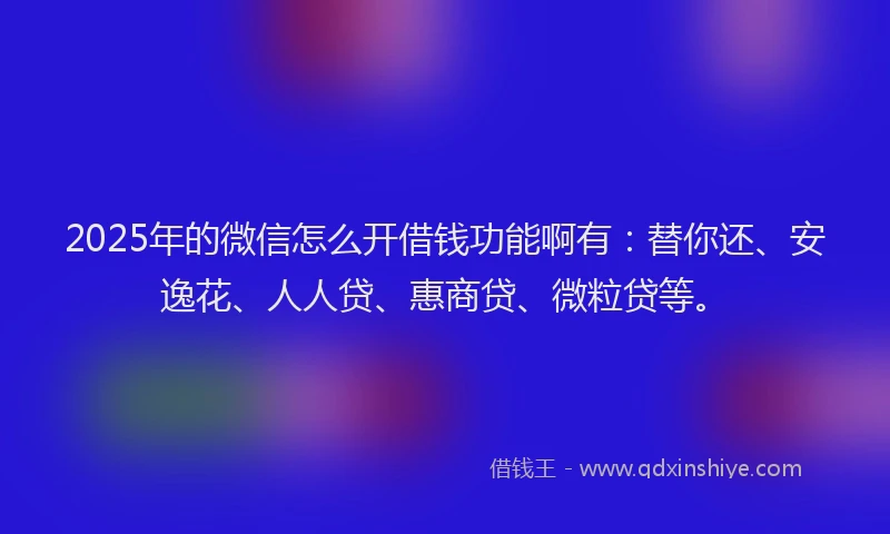 2025年的微信怎么开借钱功能啊有：替你还、安逸花、人人贷、惠商贷、微粒贷等。