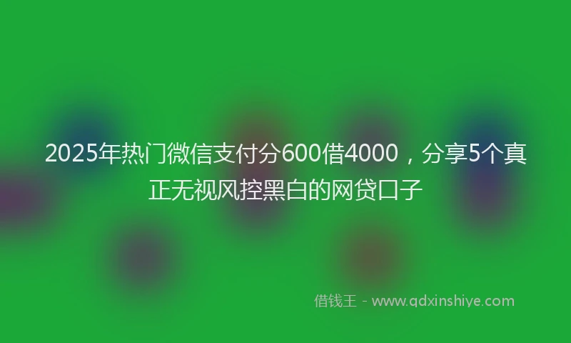 2025年热门微信支付分600借4000，分享5个真正无视风控黑白的网贷口子