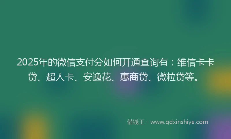 2025年的微信支付分如何开通查询有：维信卡卡贷、超人卡、安逸花、惠商贷、微粒贷等。