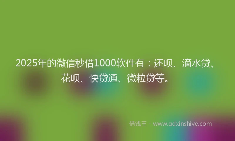 2025年的微信秒借1000软件有：还呗、滴水贷、花呗、快贷通、微粒贷等。