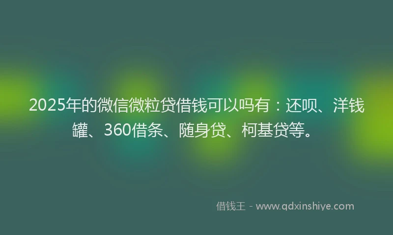 2025年的微信微粒贷借钱可以吗有：还呗、洋钱罐、360借条、随身贷、柯基贷等。
