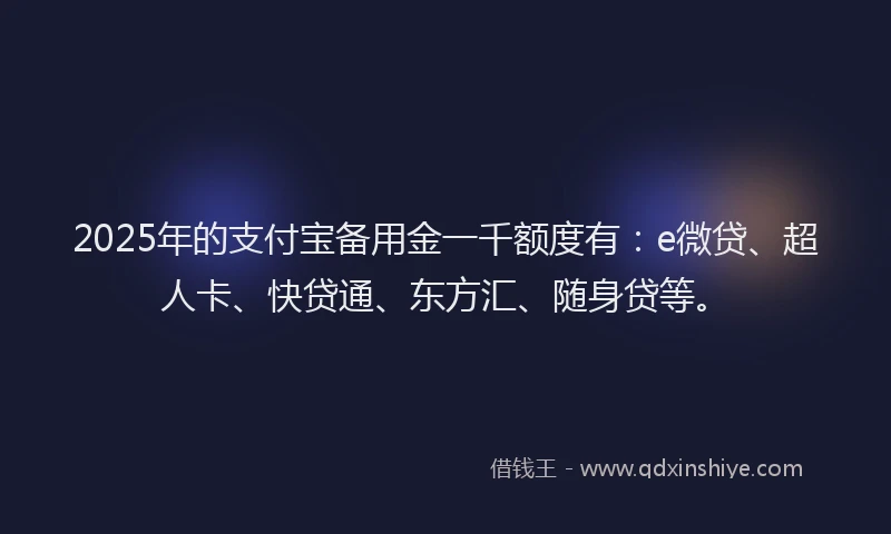 2025年的支付宝备用金一千额度有：e微贷、超人卡、快贷通、东方汇、随身贷等。
