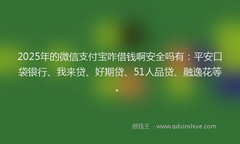 2025年的微信支付宝咋借钱啊安全吗有：平安口袋银行、我来贷、好期贷、51人品贷、融逸花等。