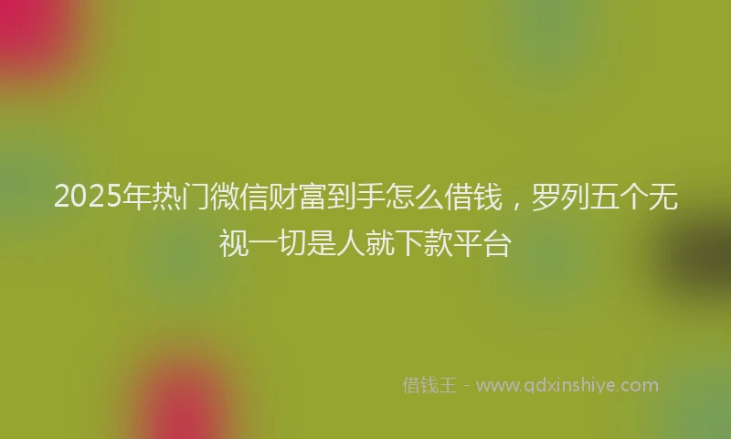 2025年热门微信财富到手怎么借钱，罗列五个无视一切是人就下款平台