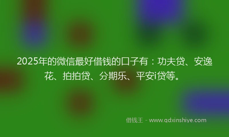 2025年的微信最好借钱的口子有：功夫贷、安逸花、拍拍贷、分期乐、平安i贷等。
