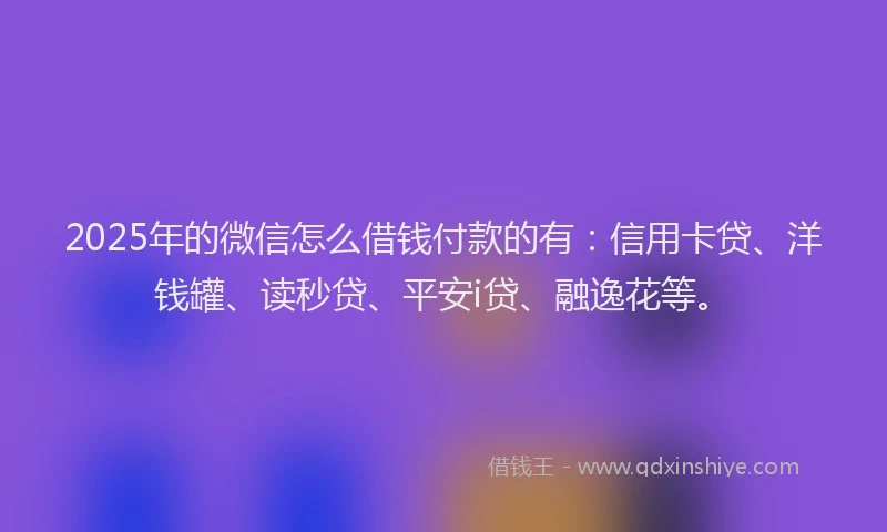 2025年的微信怎么借钱付款的有：信用卡贷、洋钱罐、读秒贷、平安i贷、融逸花等。