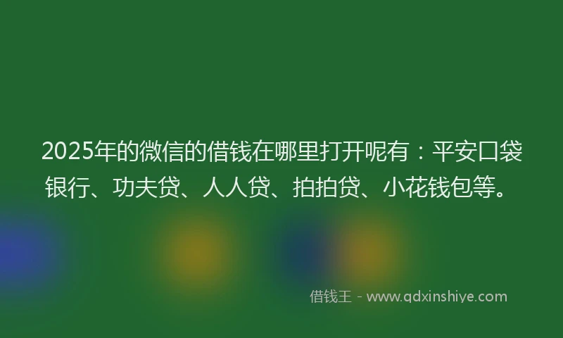 2025年的微信的借钱在哪里打开呢有：平安口袋银行、功夫贷、人人贷、拍拍贷、小花钱包等。