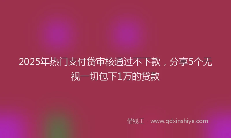 2025年热门支付贷审核通过不下款，分享5个无视一切包下1万的贷款